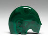 Field Of Malachite Medicine Bear
