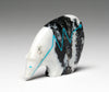 Healing Medicine Bear