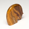 Red Onyx Medicine Bear