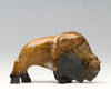 Generous Grazing Bison