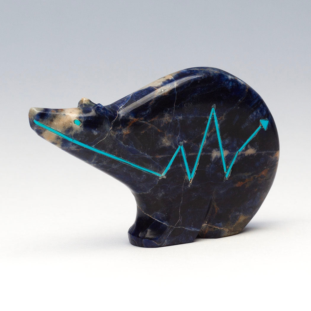 Soulful Medicine Bear
