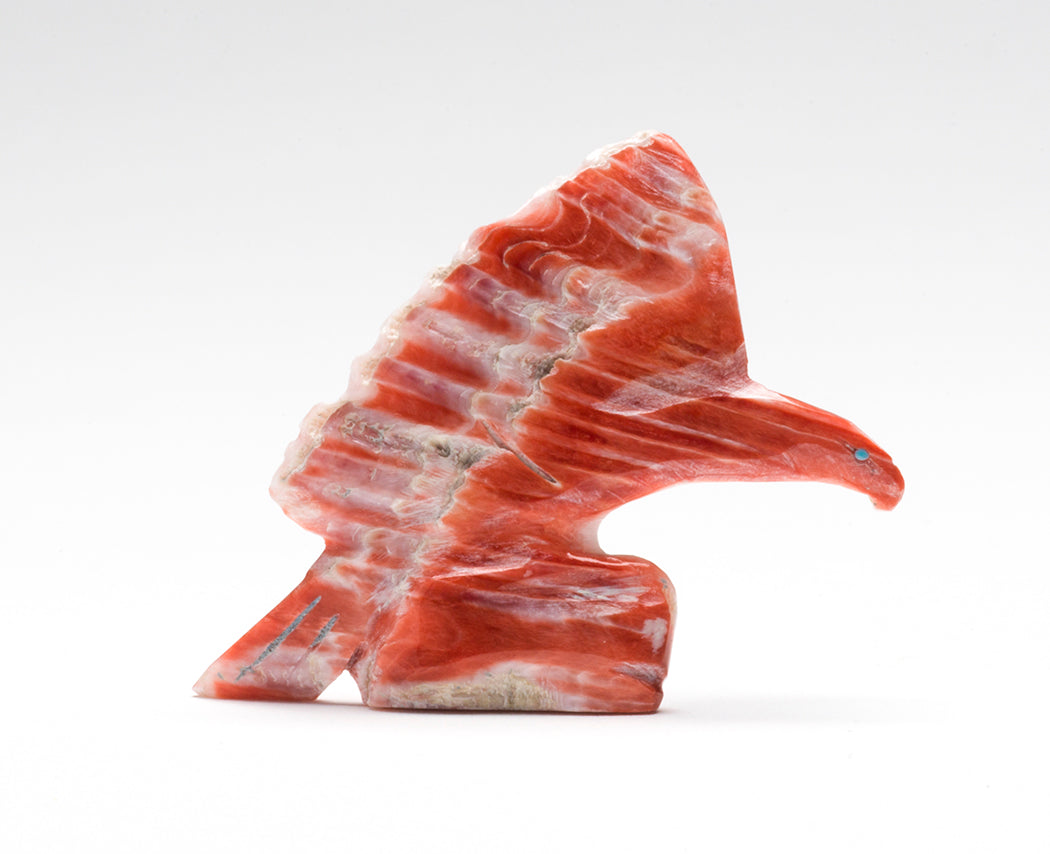 Focused Landing Eagle Keshi The Zuni Connection