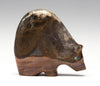 Desert Oasis Medicine Bear