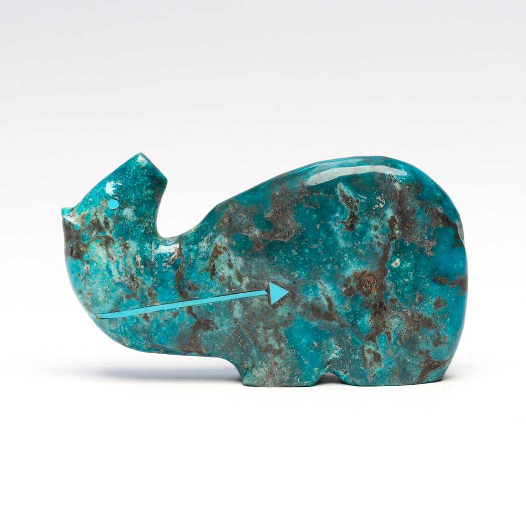 Look Out & Take Care Bear