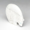 White Medicine Bear