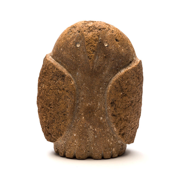 Pine Tree Owl