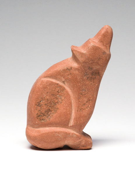 Spirit World Coyote