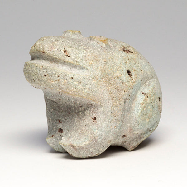 Ribbiting Frog