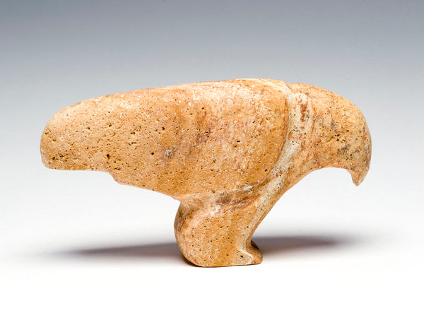 Hawk Messenger