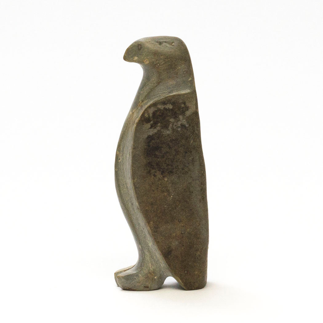 River Rock Hawk