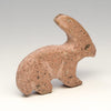 High Desert Hare