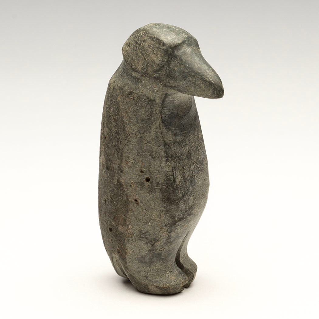 Penguin Guardian Of The Sea