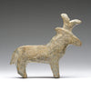 Indigenous Pronghorn