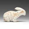 Desert Bunny