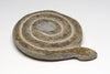 Coiled Snake Offering Bowl