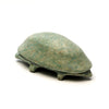 Terra Firma Turtle