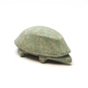 Terra Firma Turtle
