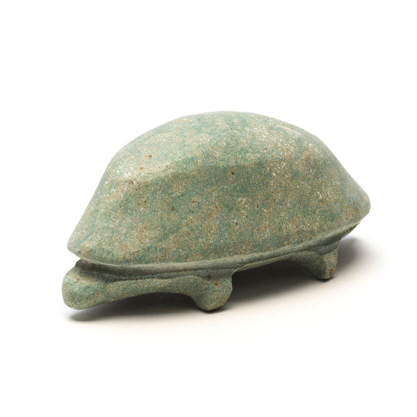 Terra Firma Turtle