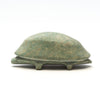 Terra Firma Turtle