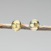 Easy Grace Gold Lip Shell Stud Earrings