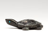 Turtle Travels