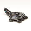 Turtle Travels