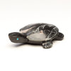 Turtle Travels