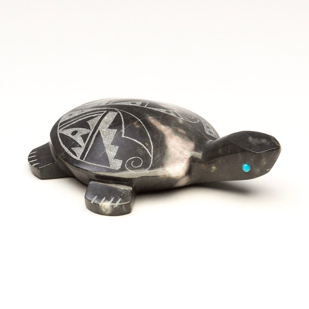 Turtle Travels