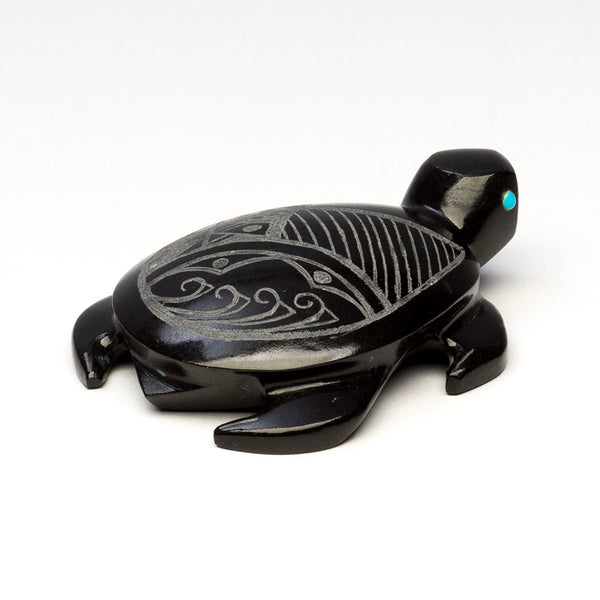 Beautiful Artistry Sea Turtle