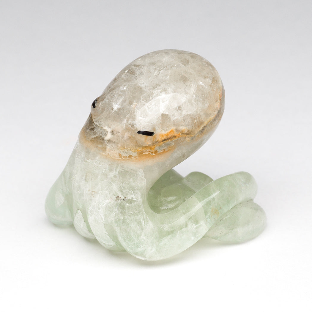 Blue Onyx Octopus