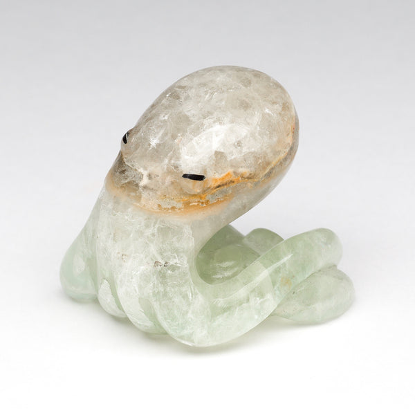 Blue Onyx Octopus