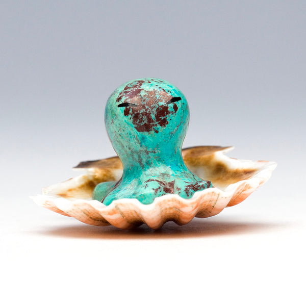 Baby Octopus With Shell
