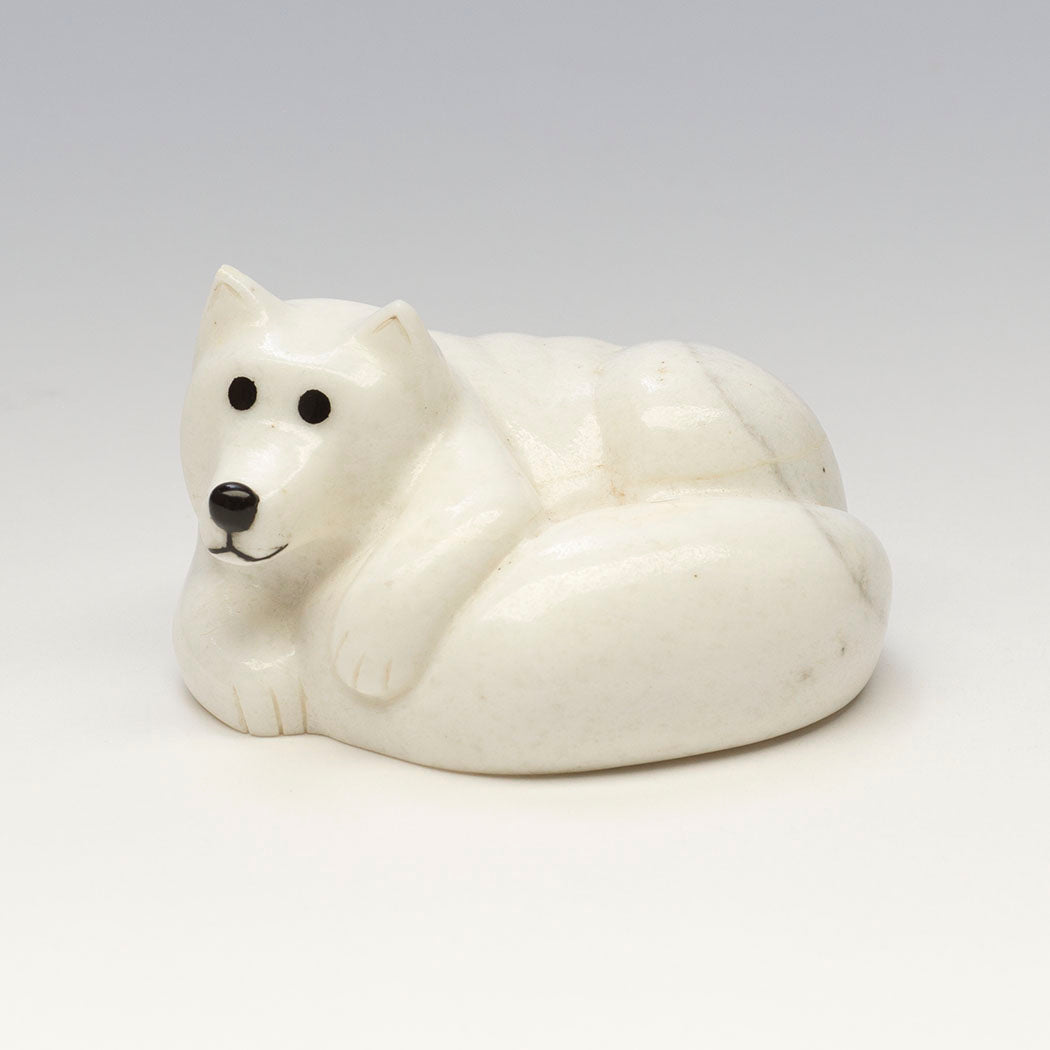 Cozy Curled Up Arctic Fox
