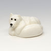 Cozy Curled Up Arctic Fox
