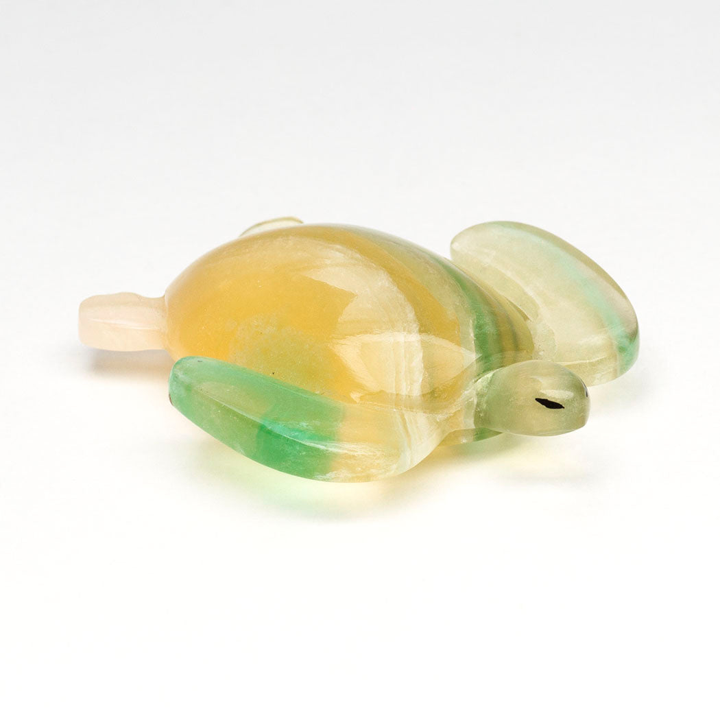 Rainbow Fluorite Sea Turtle