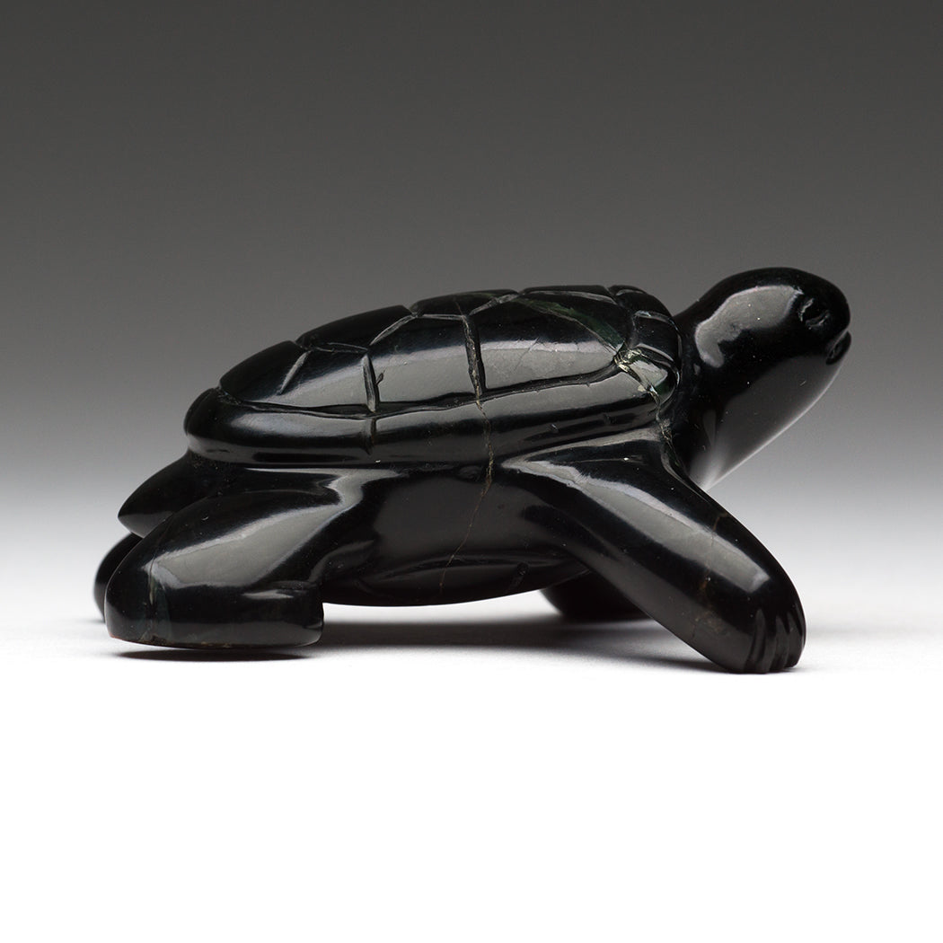 Purposeful Turtle