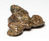 Mount Lemmon Frog