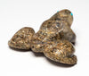Mount Lemmon Frog