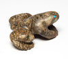 Mount Lemmon Frog