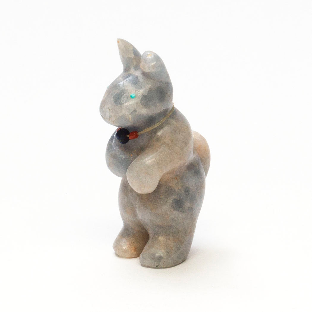 Periscoping Cottontail