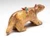 Amiable Mountain Lion