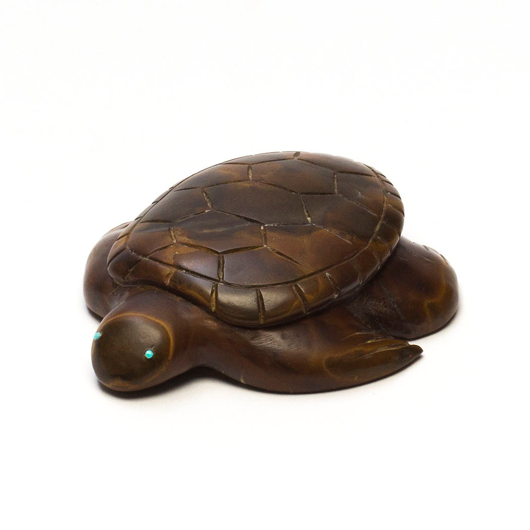 Stunning Septarian Nodule Sea Turtle