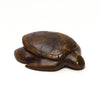 Stunning Septarian Nodule Sea Turtle