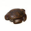 Stunning Septarian Nodule Sea Turtle