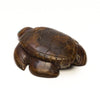 Stunning Septarian Nodule Sea Turtle