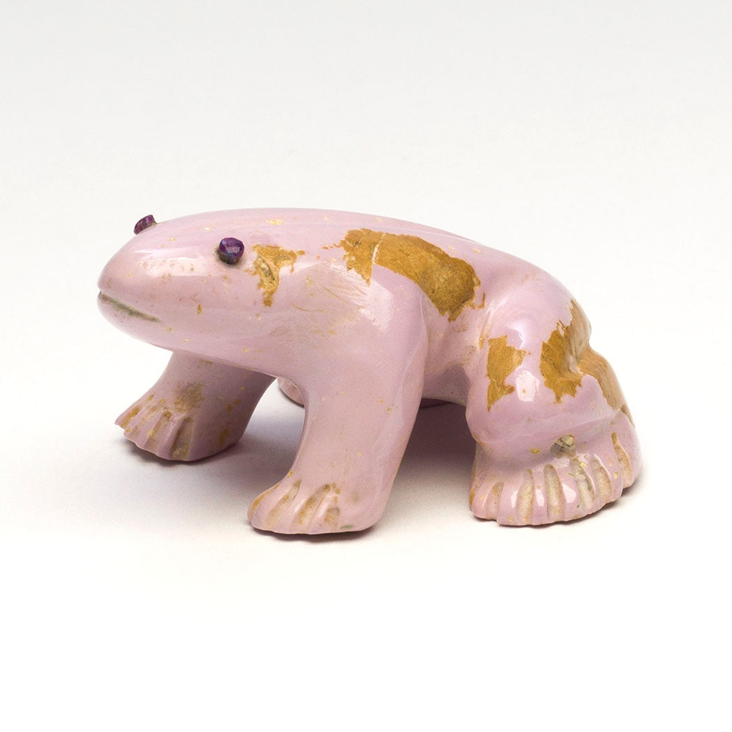 Vibrant Energies Frog