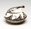 Small Lizard Seed Pottery