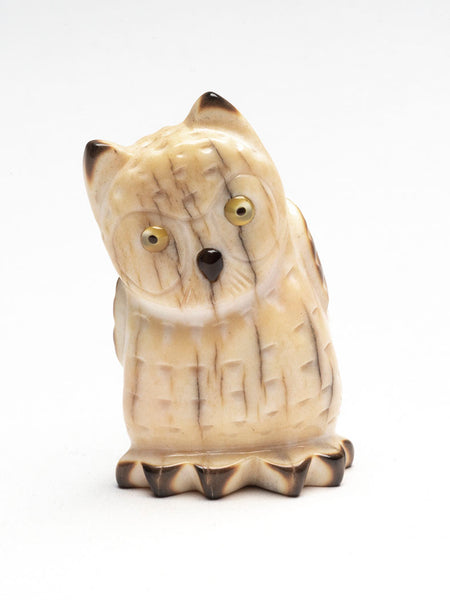 Cognizant Owl