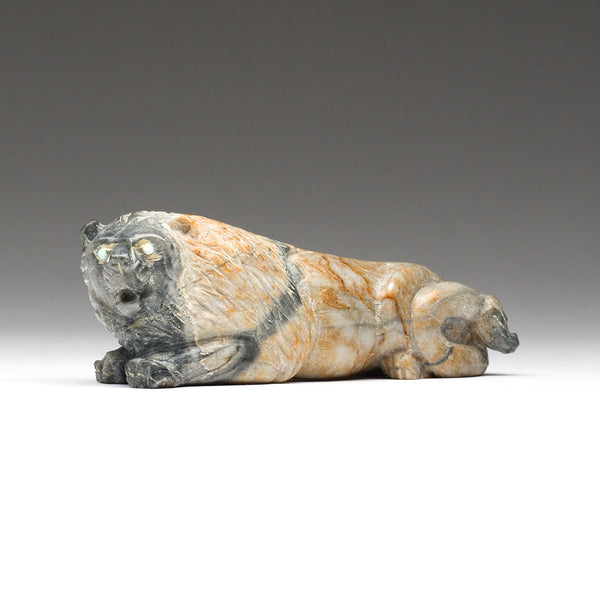 Noble African Lion