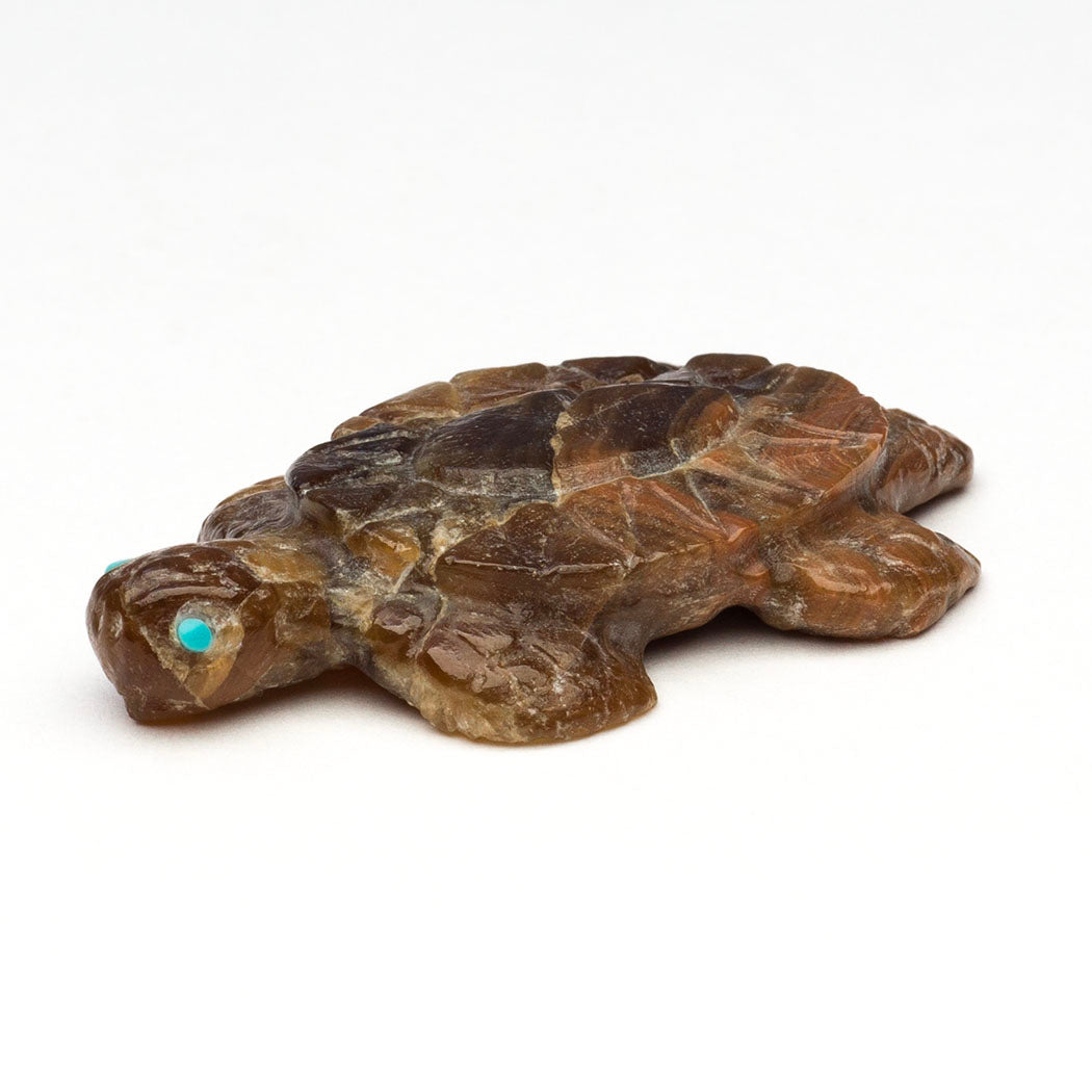 Can-Do Sea Turtle